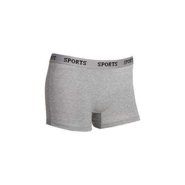 Womens Pack of 6 Sports Boyleg Shorts