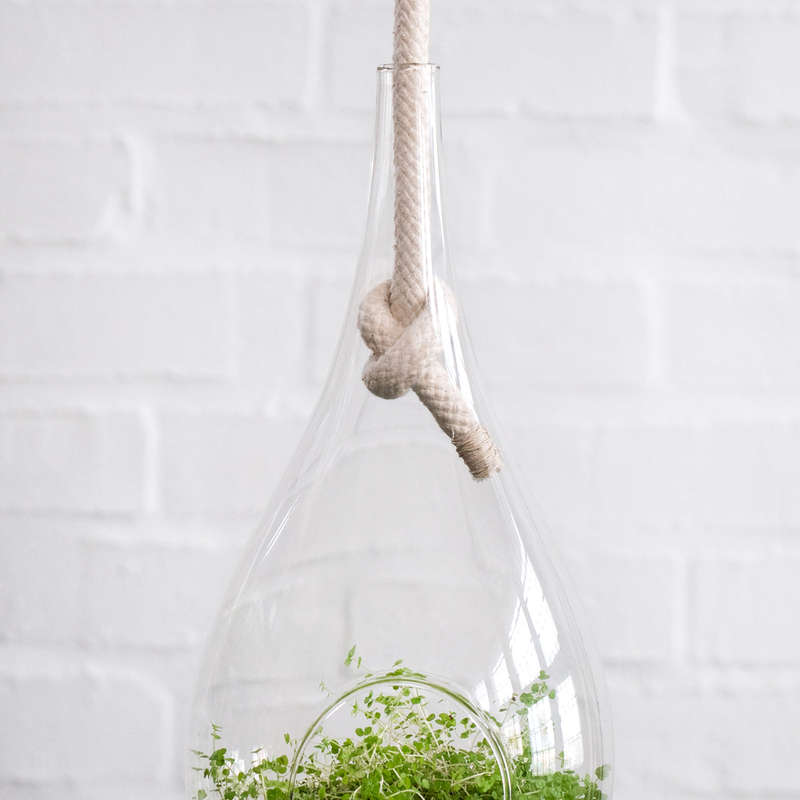 Raindrop Glass Hanging Planter - Small - 25cm