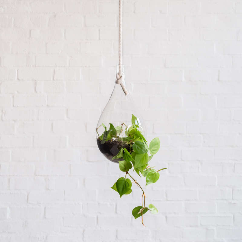 Raindrop Glass Hanging Planter - Small - 25cm
