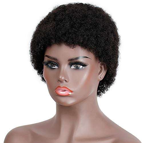 AISI HAIR Brazilian Virgin Afro Wig Short Kinky Curly Afro Wigs for Black Women 100% Human Hair...
