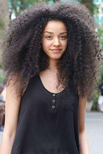 Afro Kinky Curly Clip ins Human Hair Extensions Full Afro Curly Clip in Human Hair Brazilian Virg...