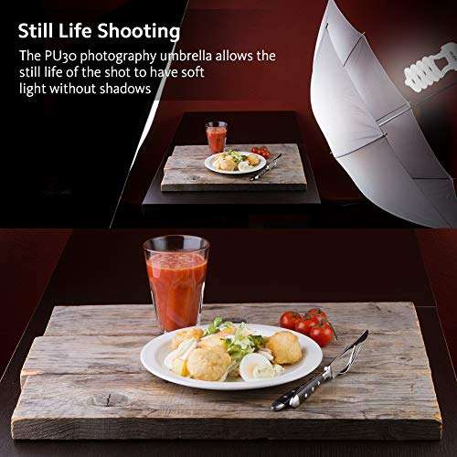 Photography Umbrella Continuous Lighting Kit 600W Photography Photo Video Portrait Studio Day Lig...