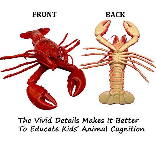 THREE BEARS Lifelike Lobster Toy, Plastic Lobster Model Bath Time Fun Toys,Rising Squeeze Stress ...
