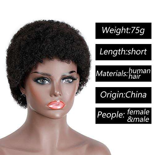 AISI HAIR Brazilian Virgin Afro Wig Short Kinky Curly Afro Wigs for Black Women 100% Human Hair...