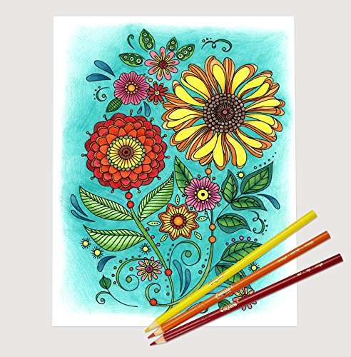 Crayola Colored Pencils (50 Count)