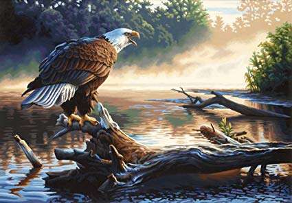 Dimensions Paintworks Paint by Numbers Eagle Hunter Kit