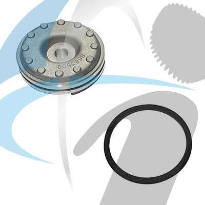 TH700 PISTON/SEAL ASSEMBLY
