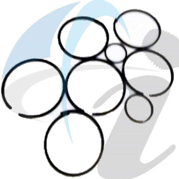 5HP19 SEALING RING KIT