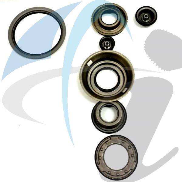 DPO PISTON KIT