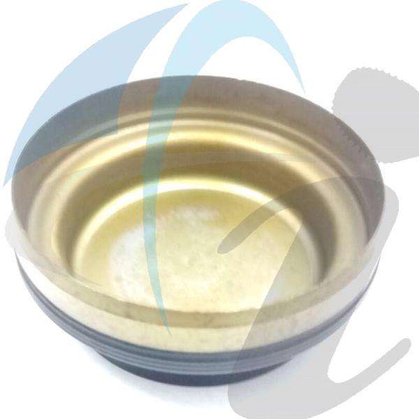 096/7 REAR CAP SEAL