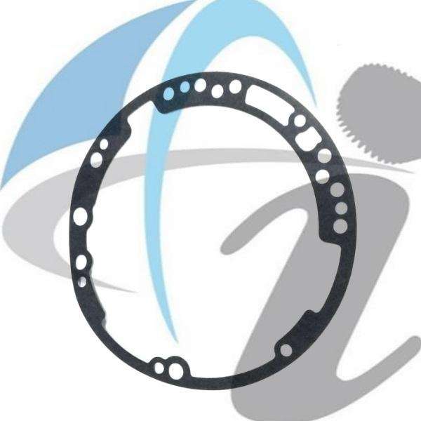 096 PUMP GASKET ROUND HOLES