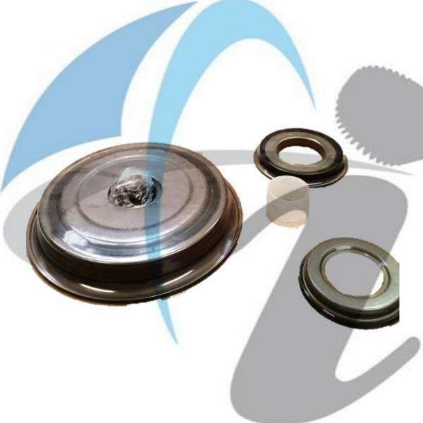 O2E,DSG PISTON KIT 03-11