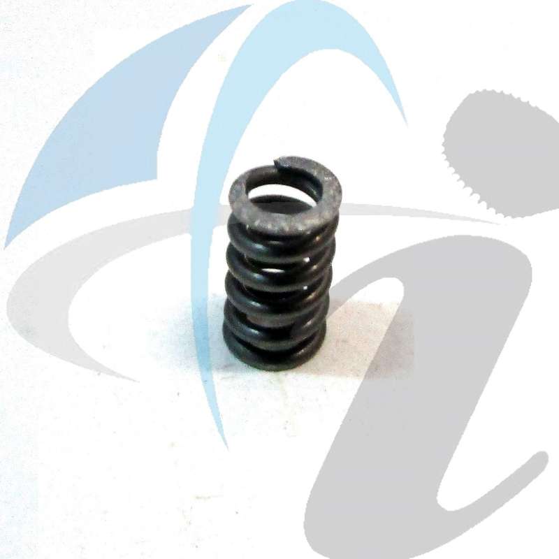 MITSUBISHI CANTER / FUSO SPRING