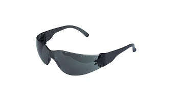 Basix Safety Spectacles