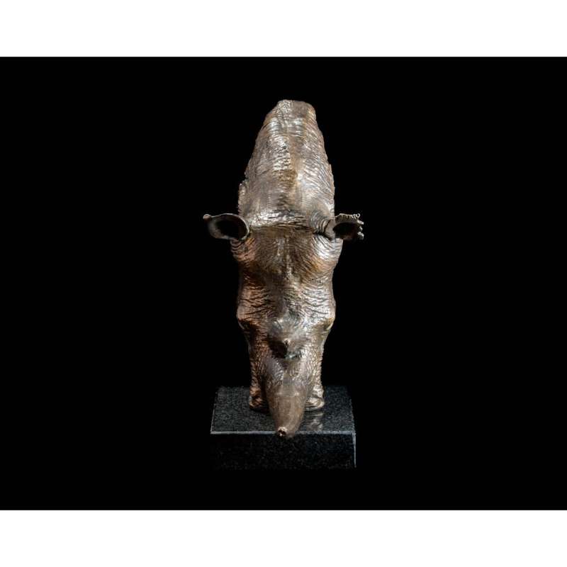 White Rhino Head on Marble Base Bronze Sculpture