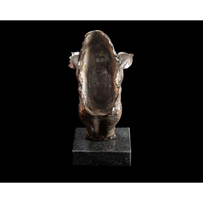 White Rhino Head on Marble Base Bronze Sculpture