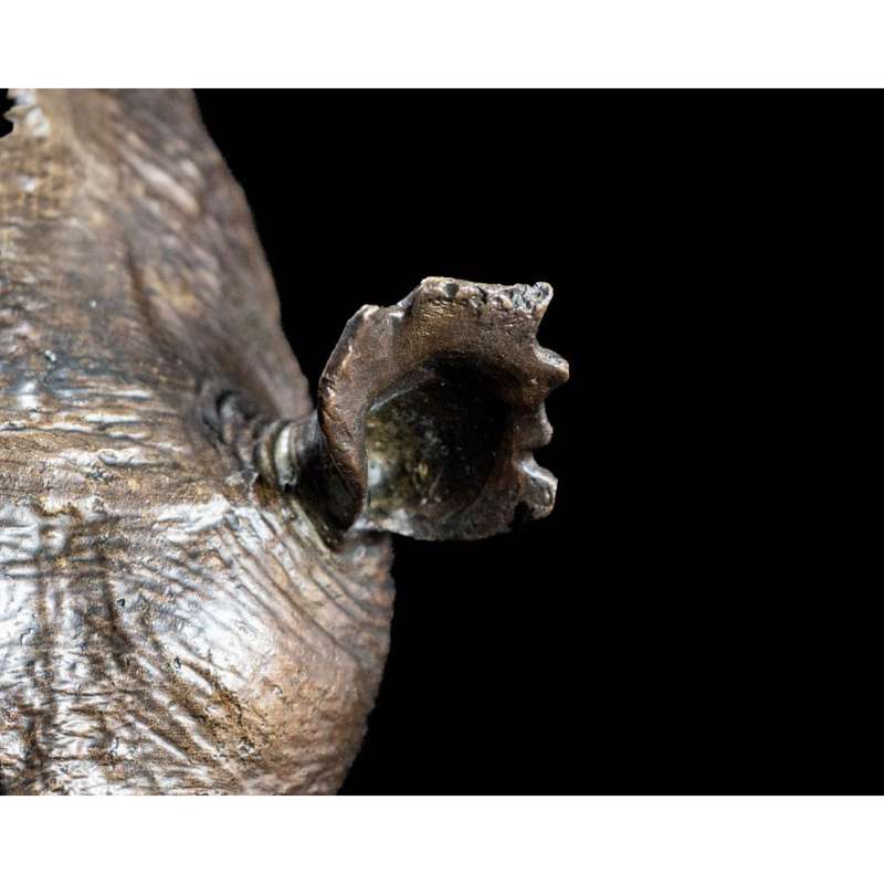 White Rhino Head on Marble Base Bronze Sculpture