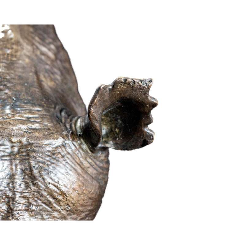 White Rhino Head on Marble Base Bronze Sculpture