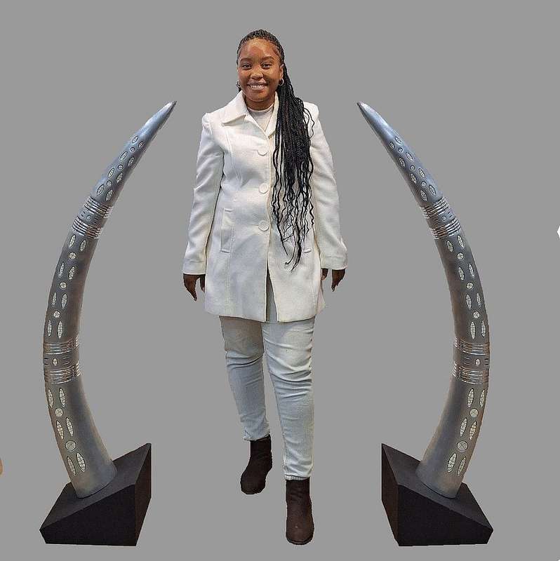 Elephant Aluminium Tusk Pair with Ostrich Eggshell inlay . Mounted on Black wood Stands