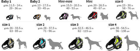 pet products
