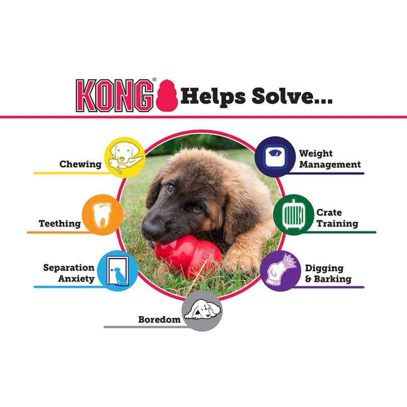 Kong Extreme Ball - Medium/Large