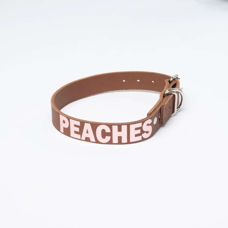Dapper Dog - Leather Collar