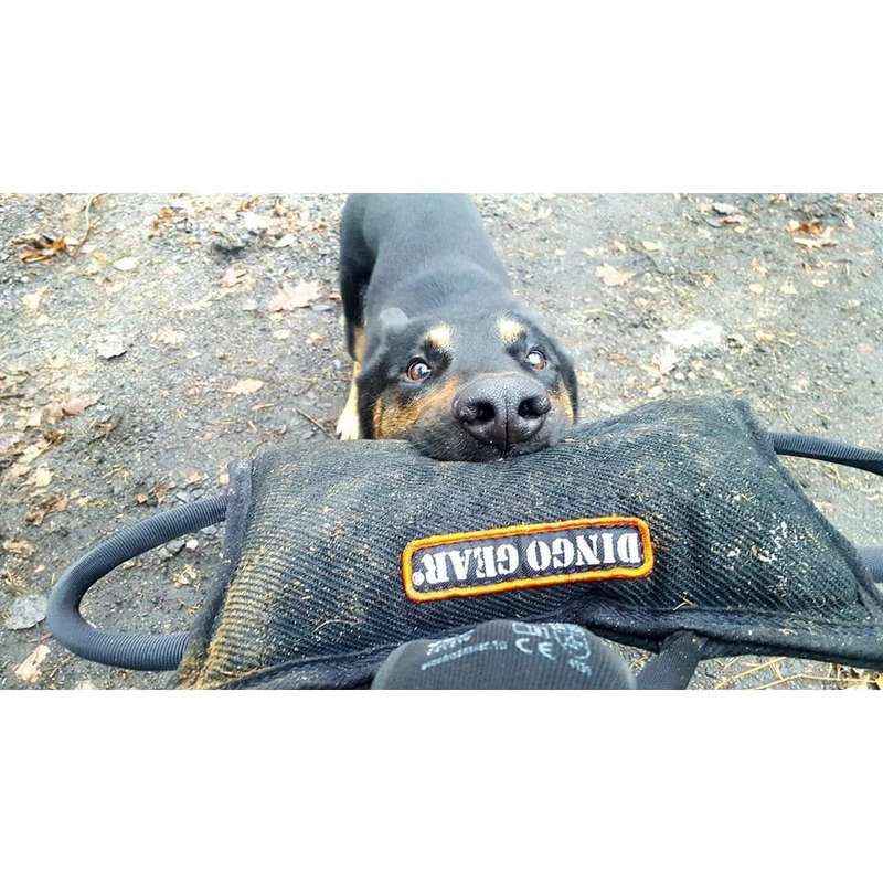 Dingo Gear Bite Pad - Cotton/Nylon Hard