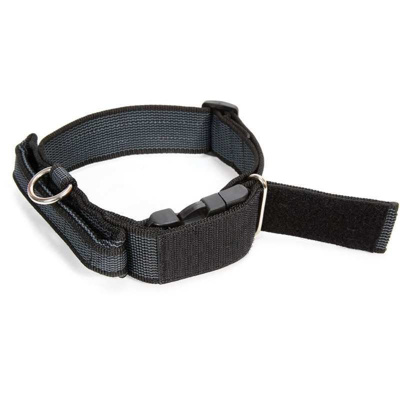 Julius K-9 Collar with Handle