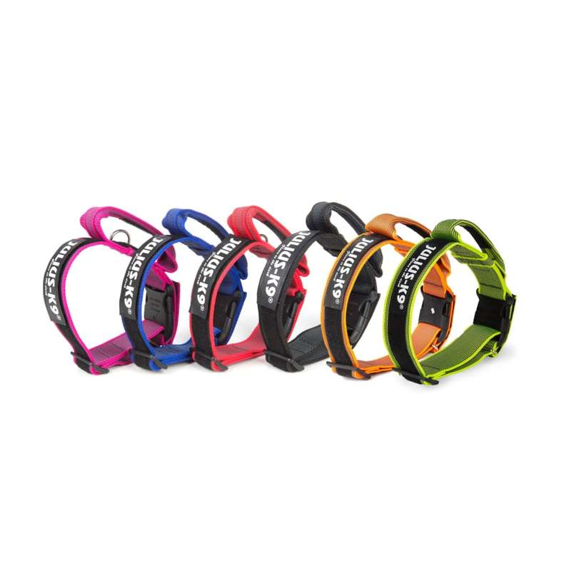 Julius K-9 Collar with Handle
