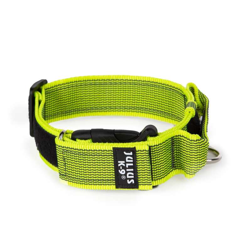 Julius K-9 Collar with Handle