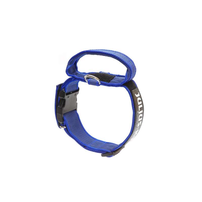 Julius K-9 Collar with Handle