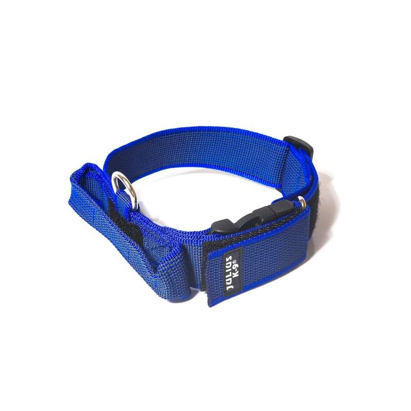 Julius K-9 Collar with Handle