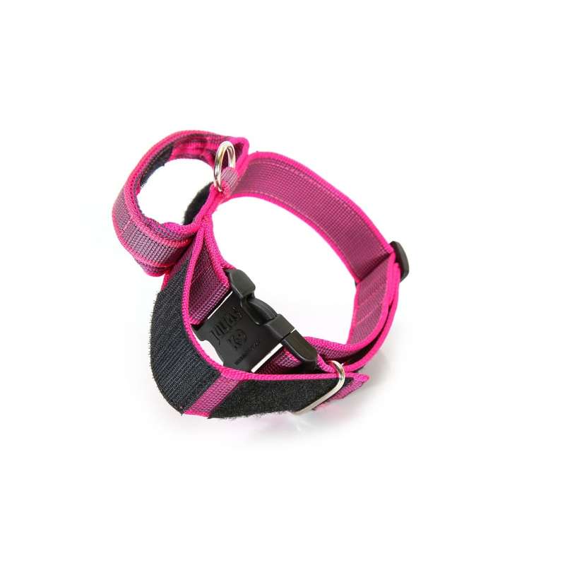 Julius K-9 Collar with Handle