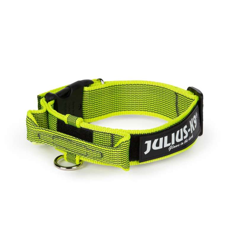 Julius K-9 Collar with Handle
