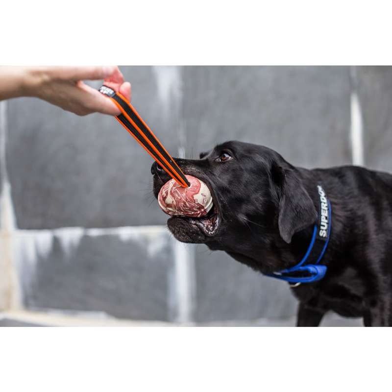 Julius K-9 Duo Play Ball