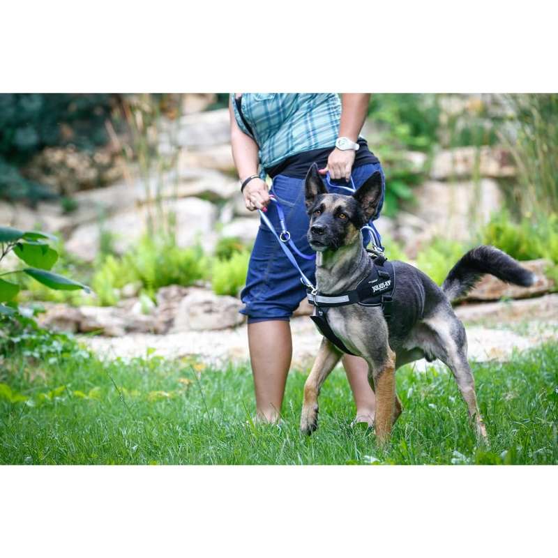 Julius K-9 Front Control Y-Belt