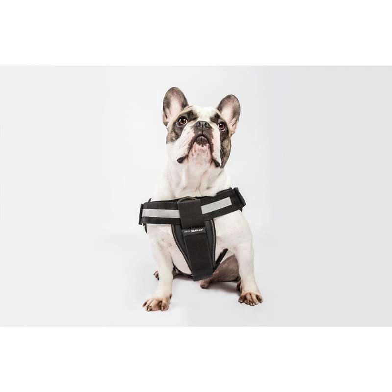 Julius K-9 Harness Chest Pad