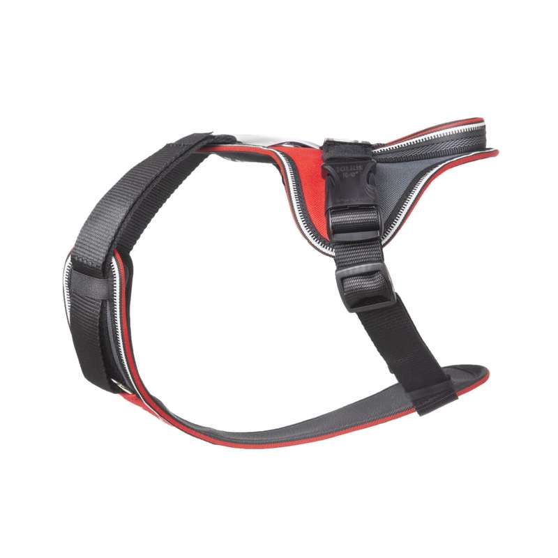 Julius K9 IDC Longwalk Harness