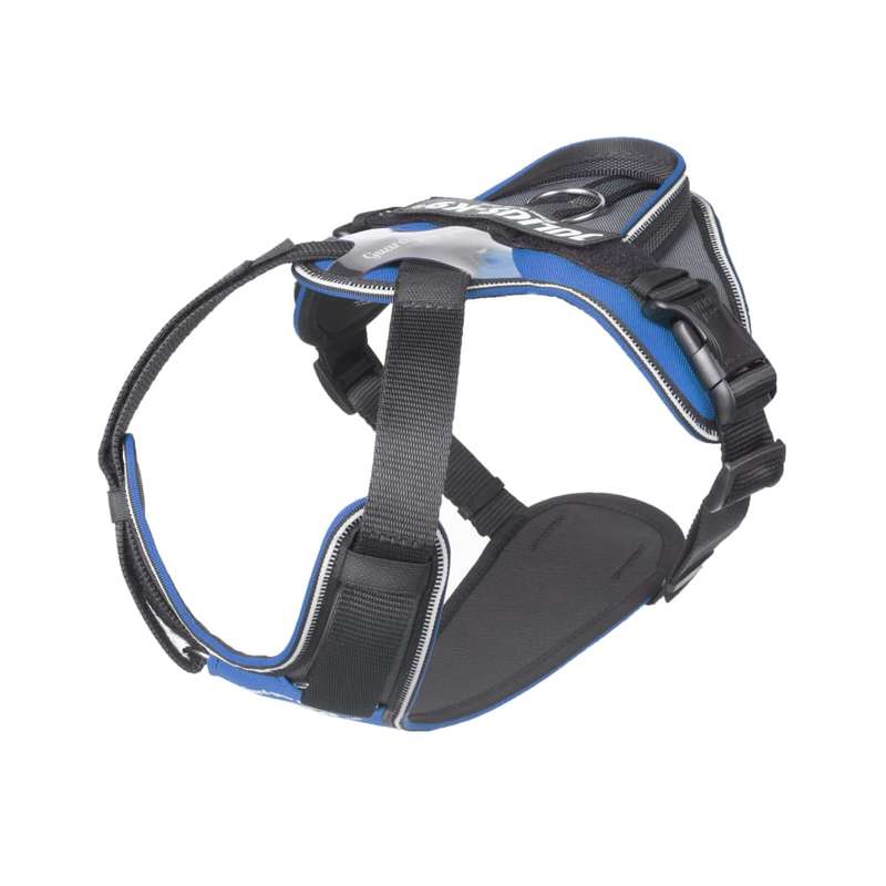 Julius K9 IDC Longwalk Harness
