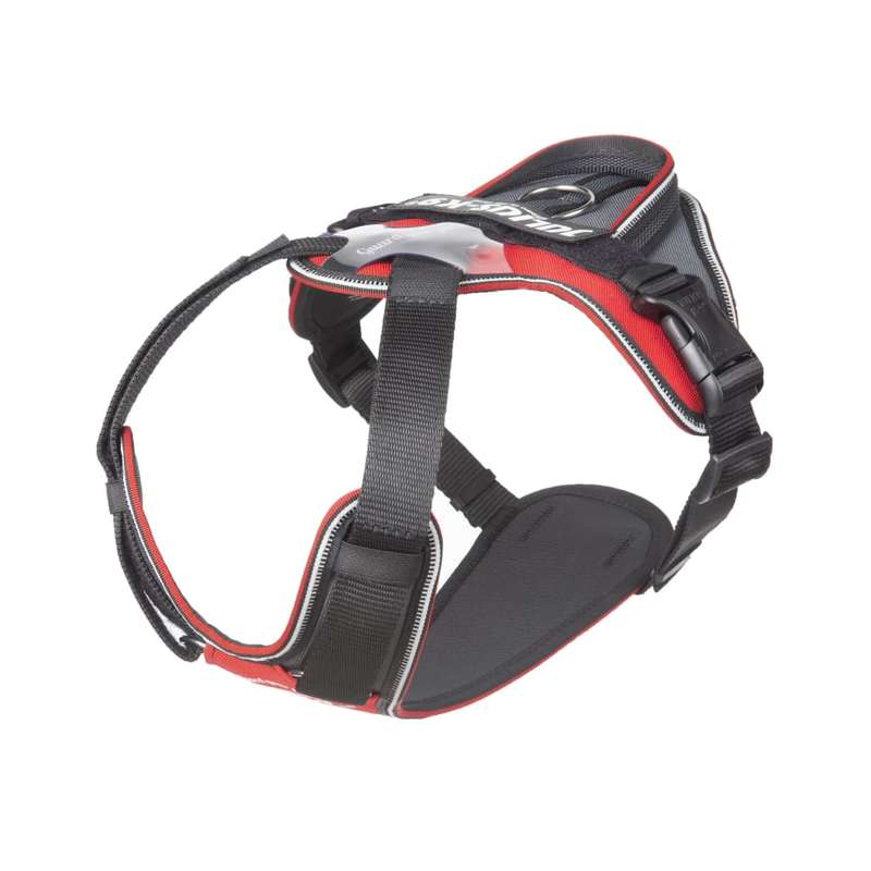 Julius K9 IDC Longwalk Harness