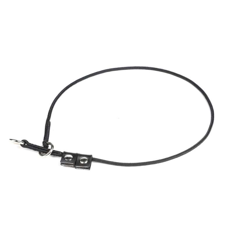 Julius K9 Training Collar