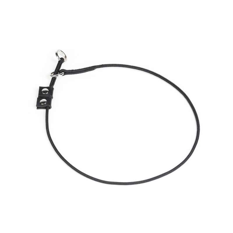 Julius K9 Training Collar
