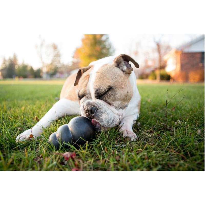 Kong Extreme Dog Toy