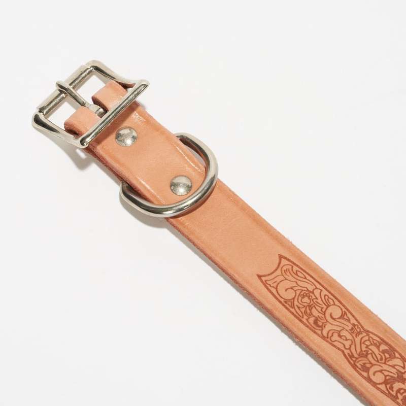 Leather Dog Collar