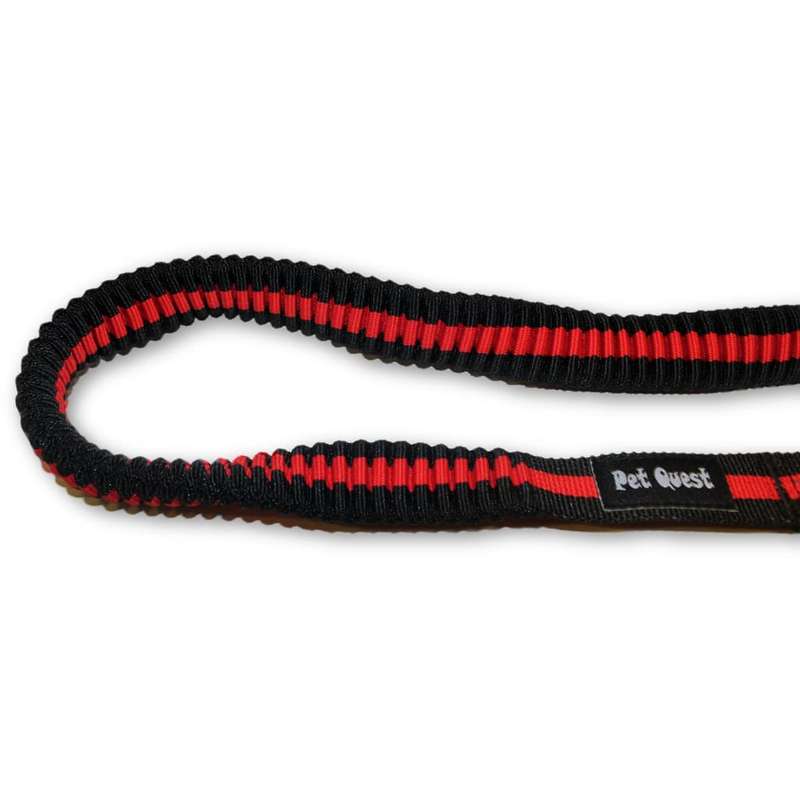 Pet Quest Bungee Leash