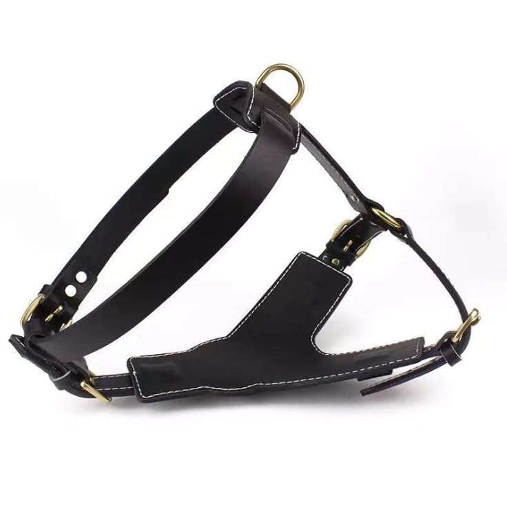 Strong Leather Harness