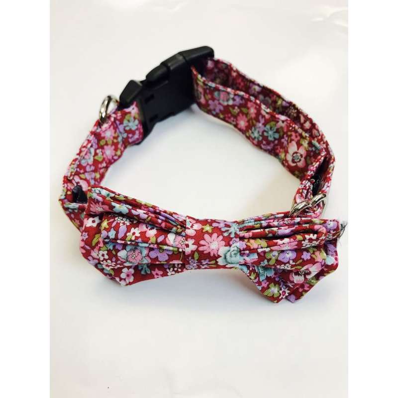 The Dapper Pet Spring Bow Tie Collar