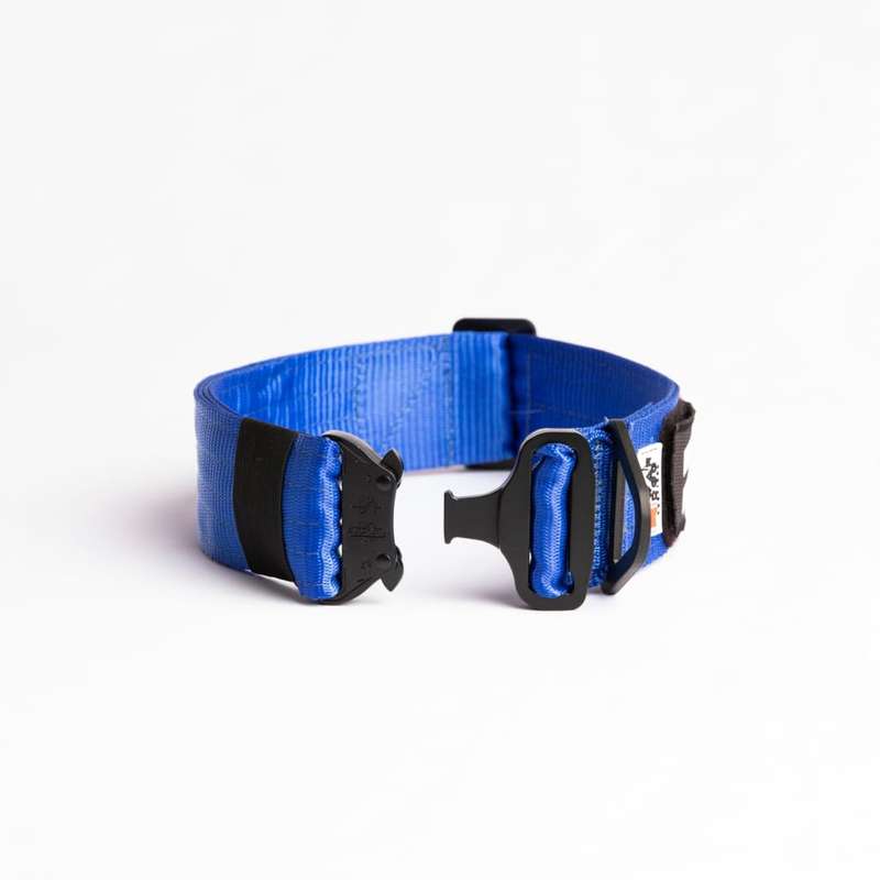 War Dog FOXTROT RIGID Collar - 50mm