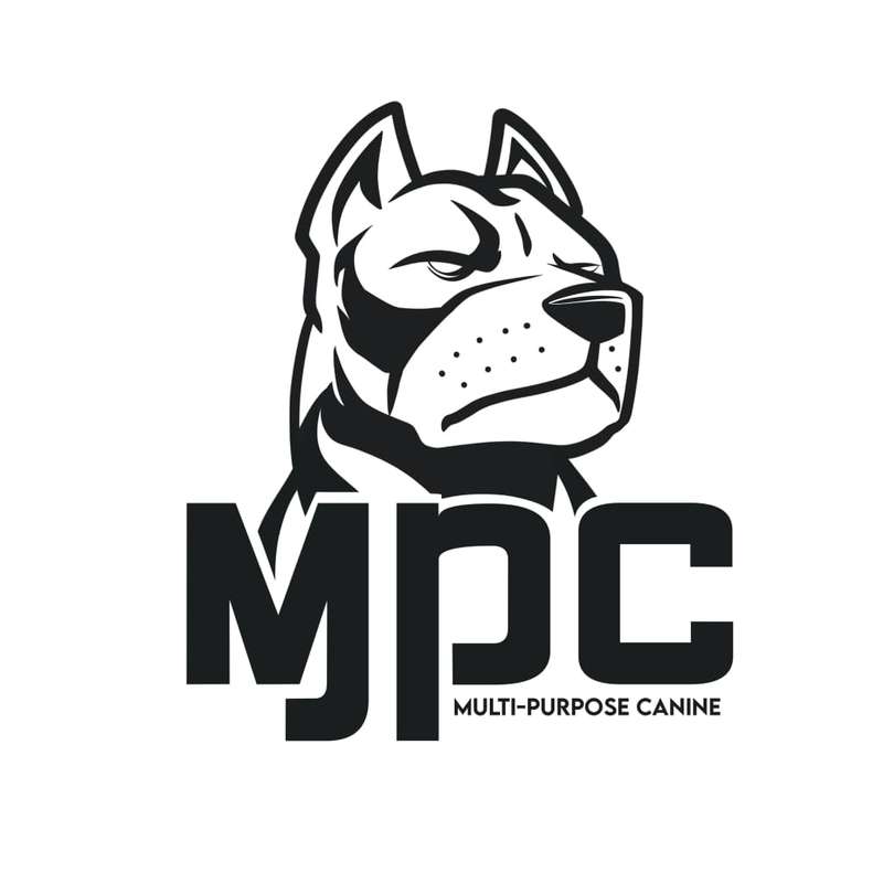 War Dog MPC Harness - ELITE