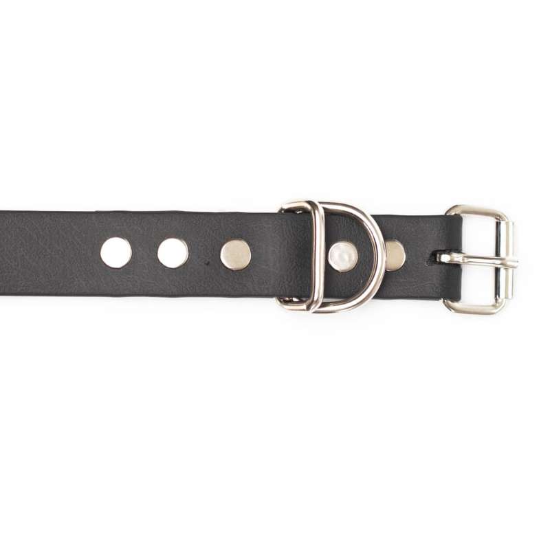 War Dog Waterproof Dog Collars